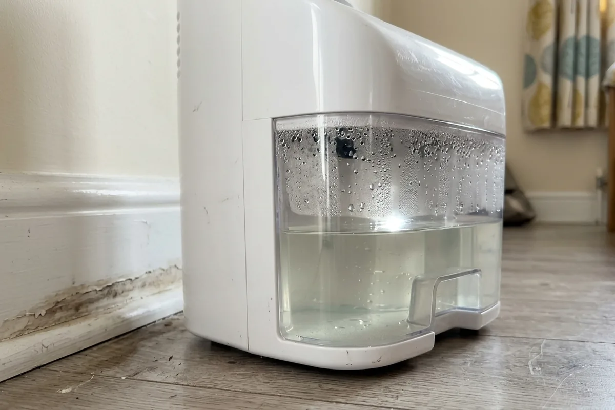 How to choose the right dehumidifier for a damp room